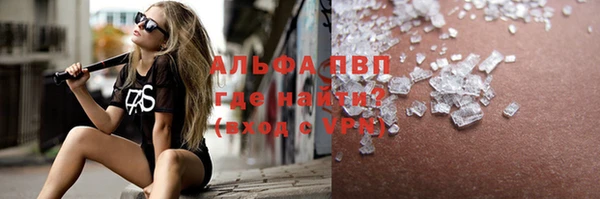 стаф Белокуриха