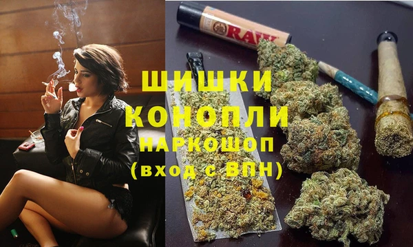 стаф Белокуриха