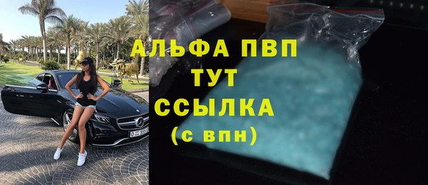 стаф Белокуриха