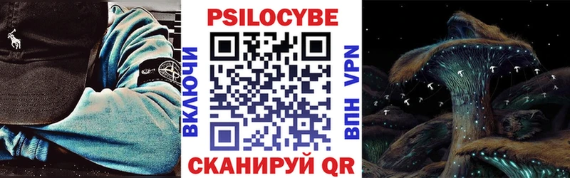 Купить закладки  Курильск  Псилоцибиновые грибы Magic Shrooms 